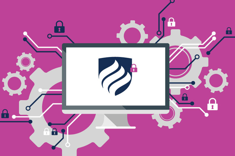 Illustration: What can I expect from an entry-level cyber security job?