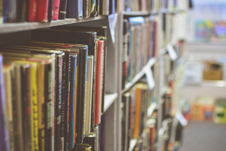 A close-up of children's books lined up on bookshelves.